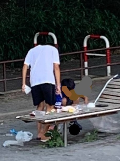公園の清掃1